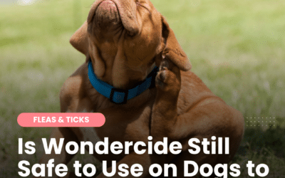 Is Wondercide Still Safe for Dogs to Repel Fleas and Ticks?