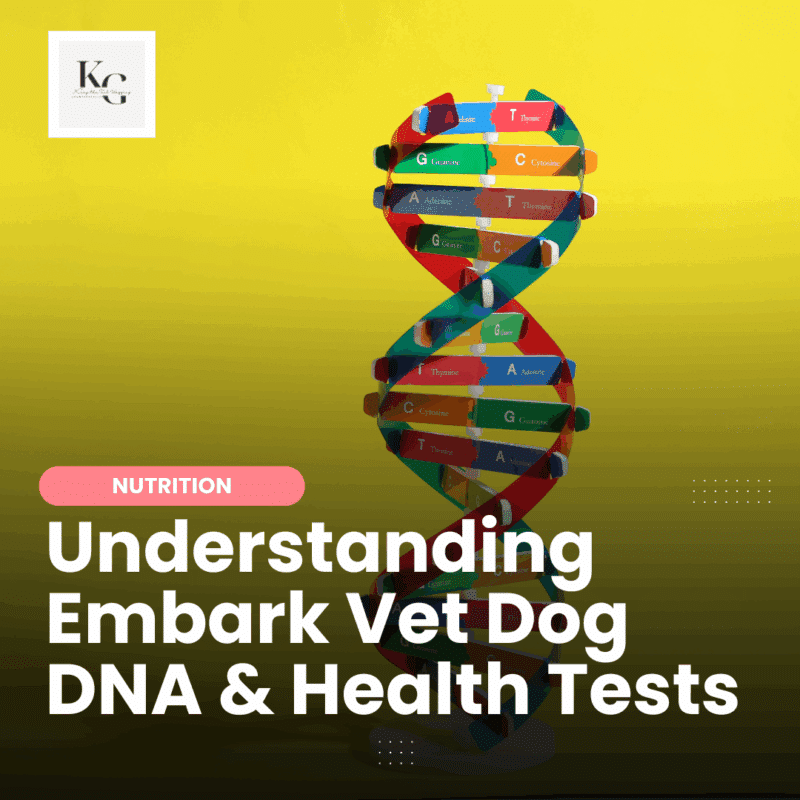 Explore Embark Vet’s Dog DNA & Health tests, benefits, accuracy, and features like breed ID, health screening, traits, and connecting with dog relatives.