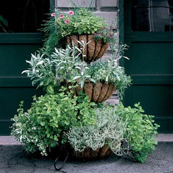Container Gardening