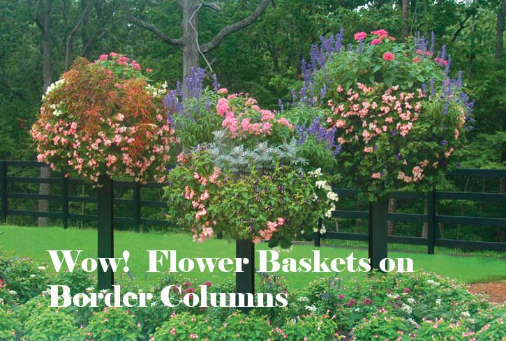 Flower Baskets on Border Columns