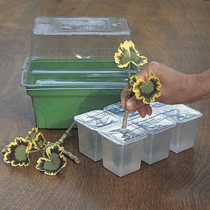 Gel 2 Root-Basic System (Discontinued/No longer available)