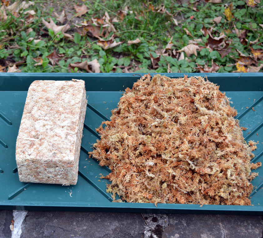 Mosses NZ Compressed Sphagnum Moss500 Gram Pack