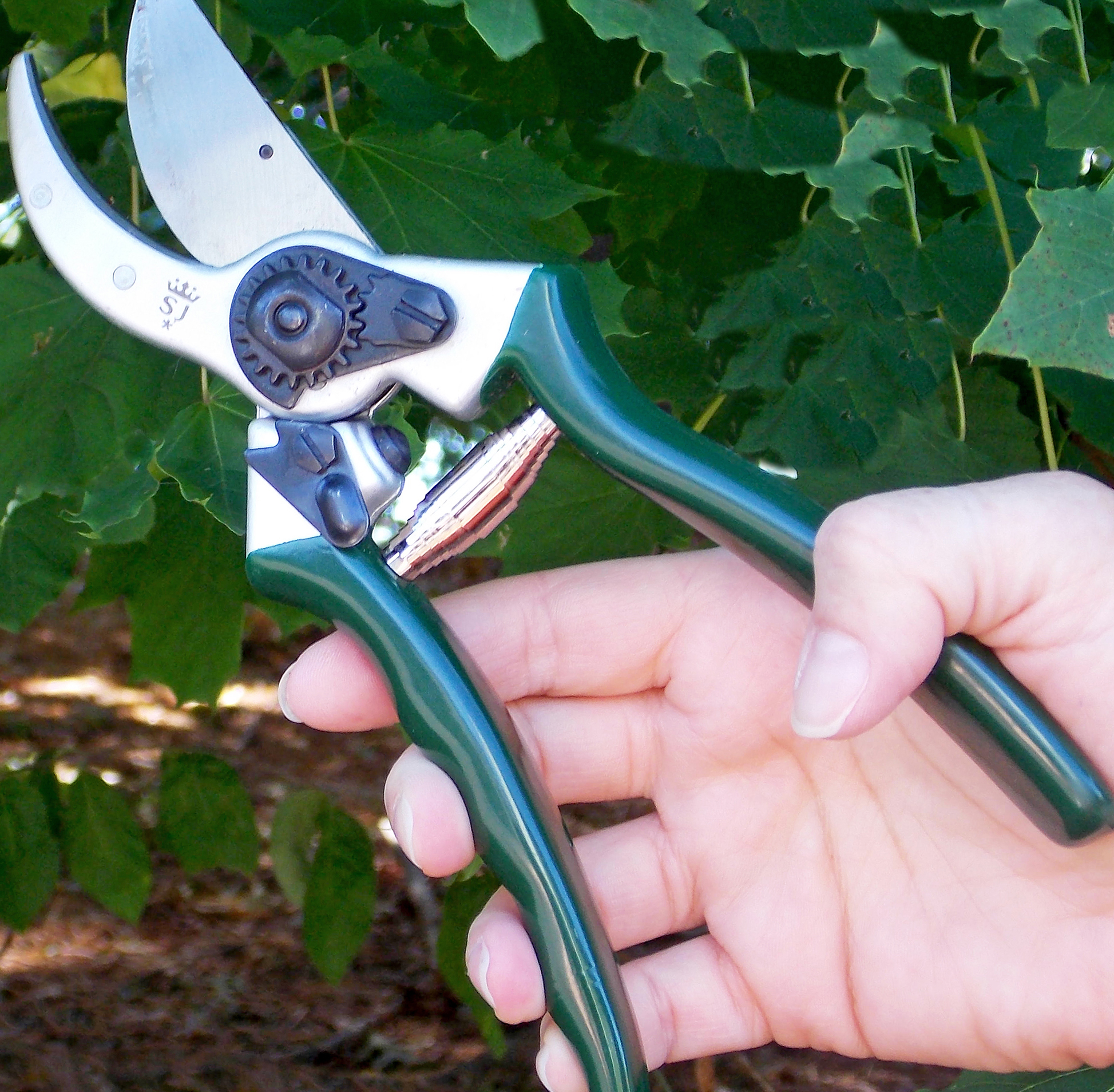Razorsharp Bypass Pruners & Secateurs Heavy Duty Bypass Pruner