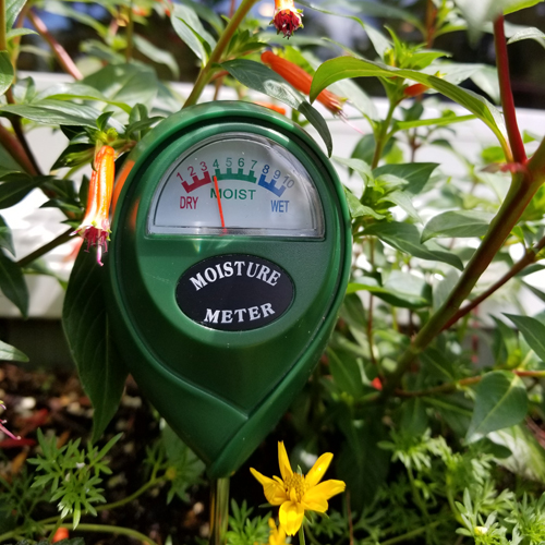 Moisture Meter, Watering: Kinsman Garden Company