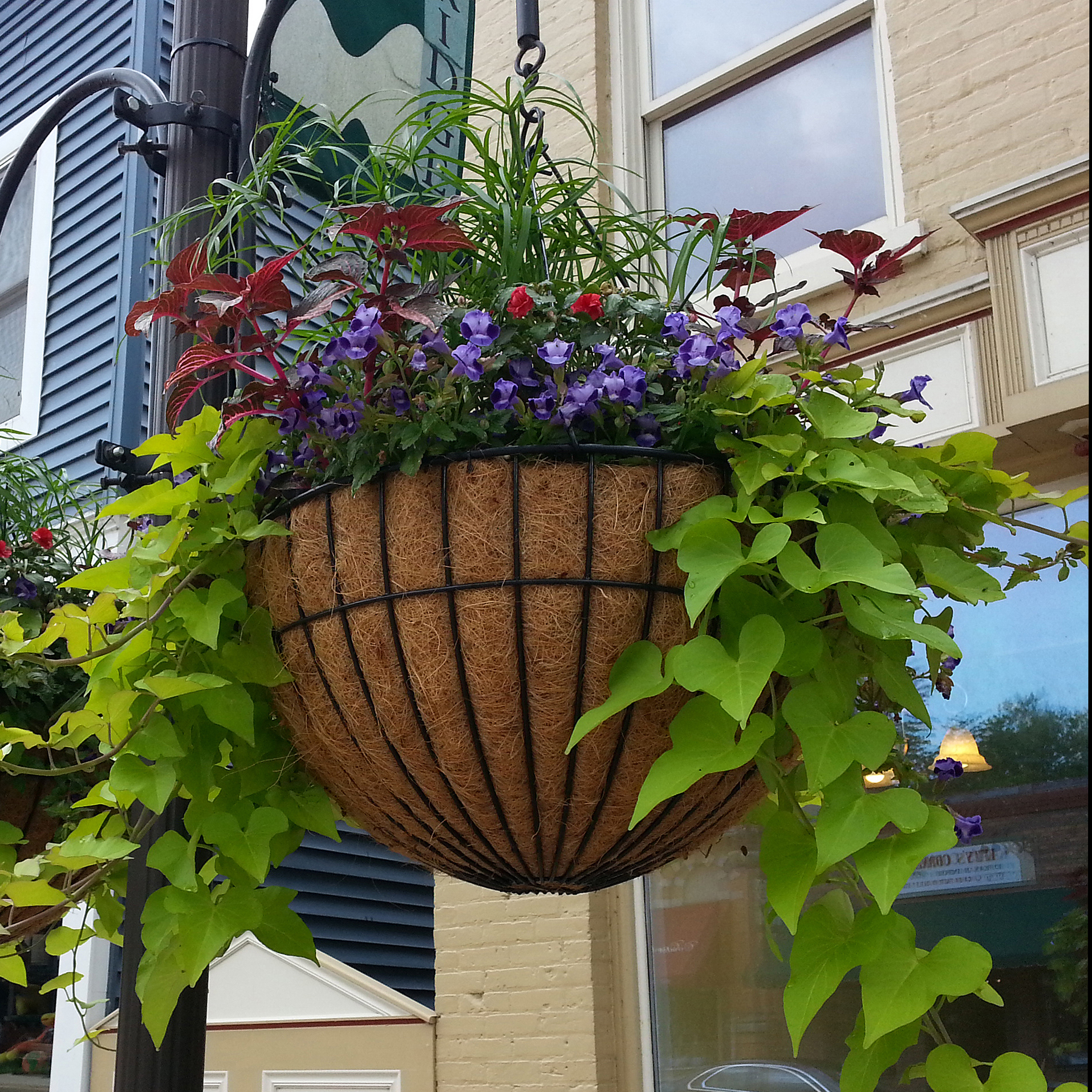 Hanging Planters Hanging Baskets Coco Fiber Liner Set