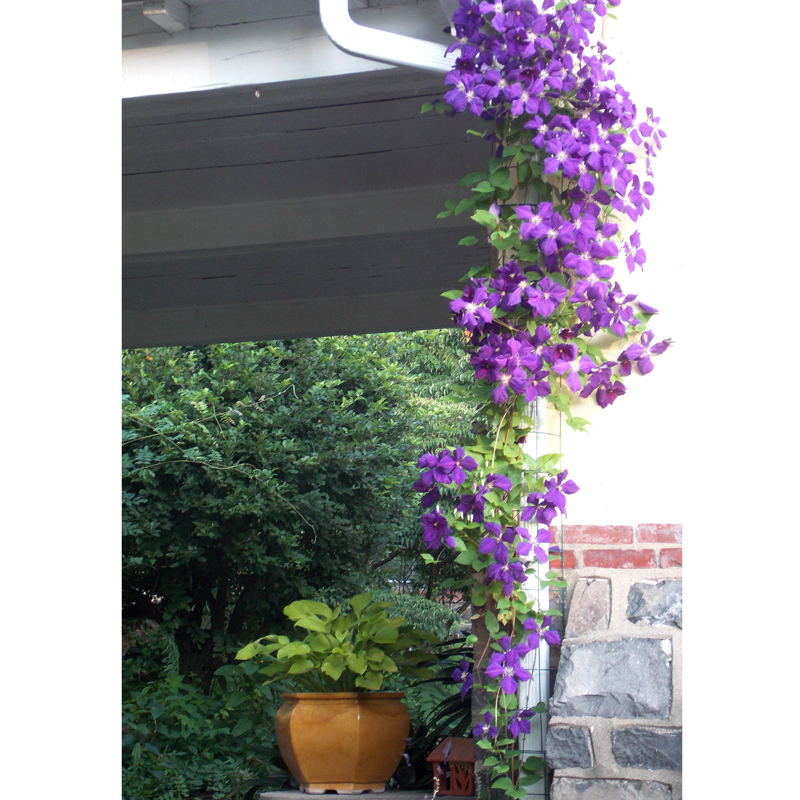 Garden Stakes, Perennial Stakes, Flower SupportsKinsman Company