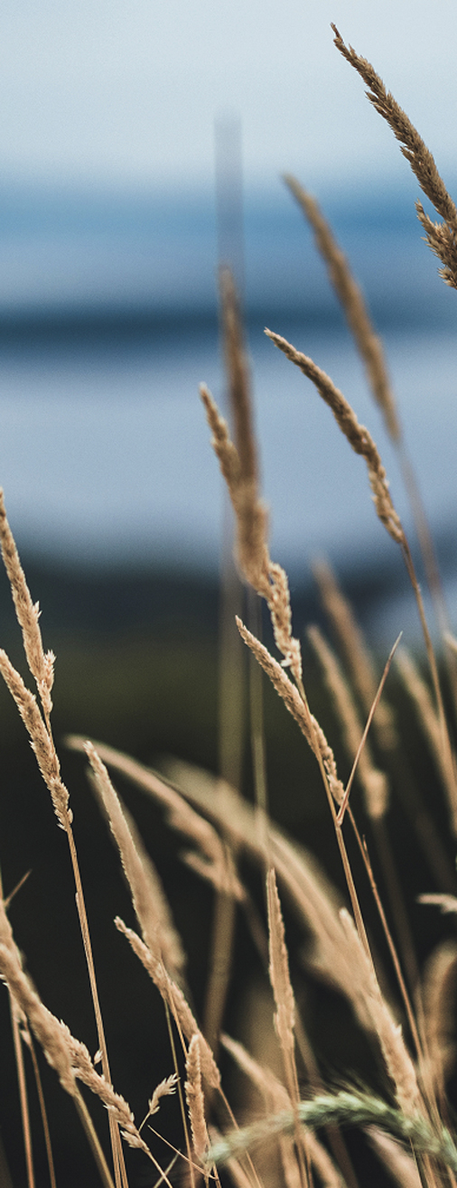 We-understand-that-for-many-a-visit-to-the-dentist-can-be-intimidating-Mobile