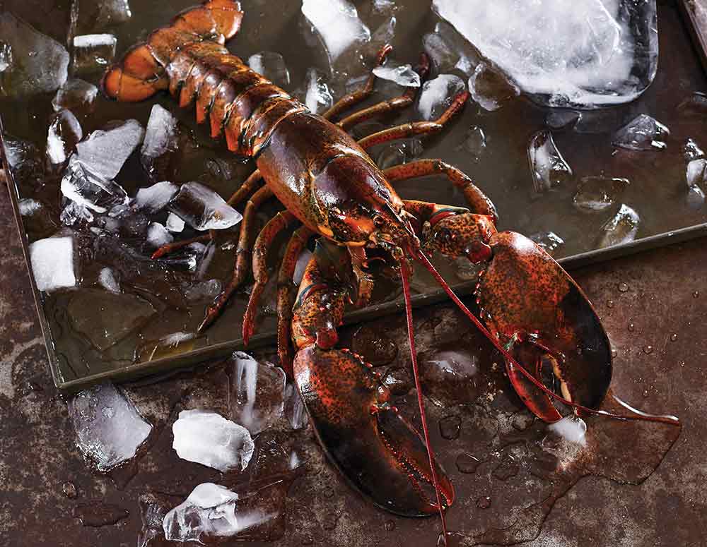 Lobster (In the Shell)