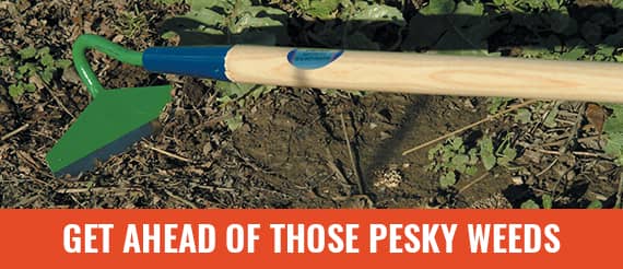 Stock Up Your Supplies