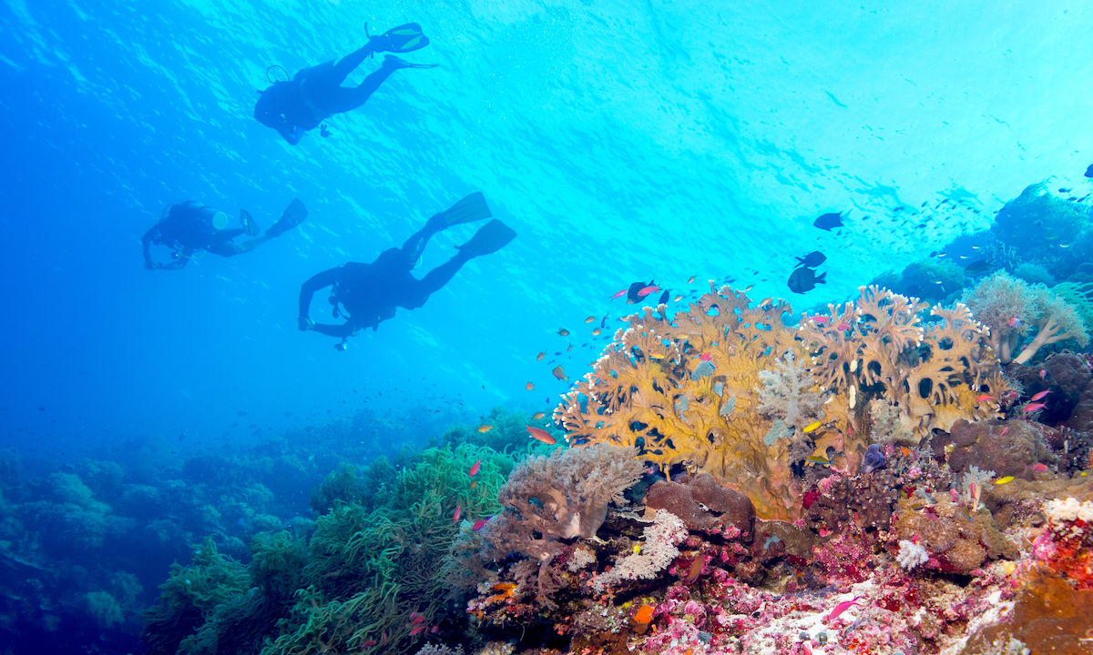 The most beautiful hidden diving spots in Southeast Asia