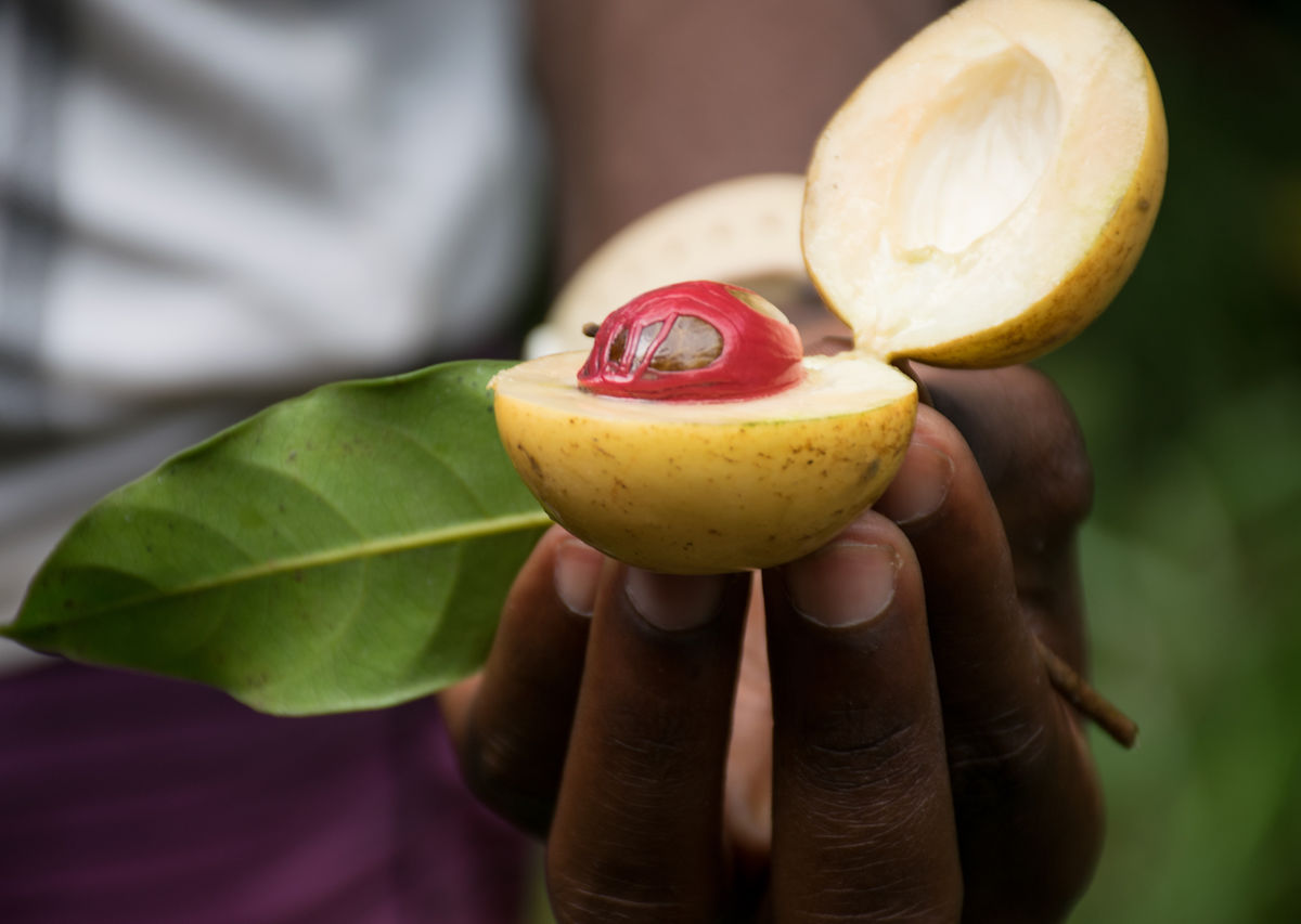 Grenada is the best Caribbean island for food. Here’s where and what to