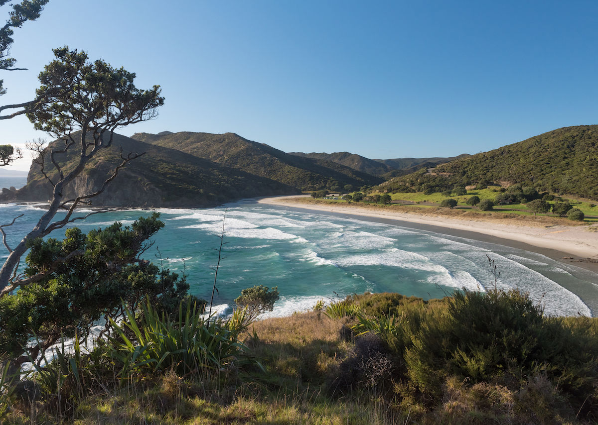 The Best Beaches In New Zealand On The North Island And South Island