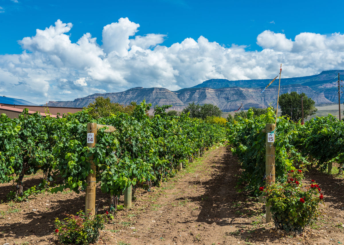 How to bike the Fruit and Wine Byway