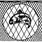 Flag Nets