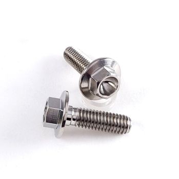Titanium Large Flange Hex Head M6 - 1.00 X 20MM