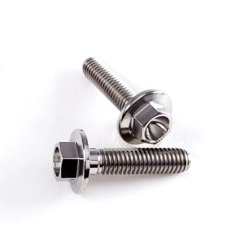 Titanium Large Flange Hex Head M6 - 1.00 X 25MM