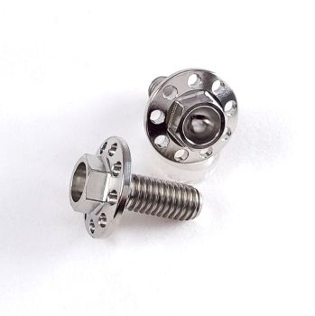 Titanium Large Flange Hex Head M6 -1.00 X 15MM w/holes Titanium Large Flange Hex Head M6 -1.00 X 15MM w/holes