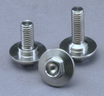 Large Flange M6 - 1.00 X 12MM w/ shoulder