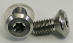 Flush Head M6-1.00 x12mm with Torx Drive