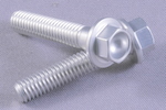 Clear Alum Hex Flange Bolt M6 - 1.00 x 30MM