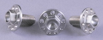 Titanium Large Flange Hex Head M6 - 1.00 X 25MM w/ holes