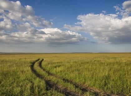 A field with tire tracks