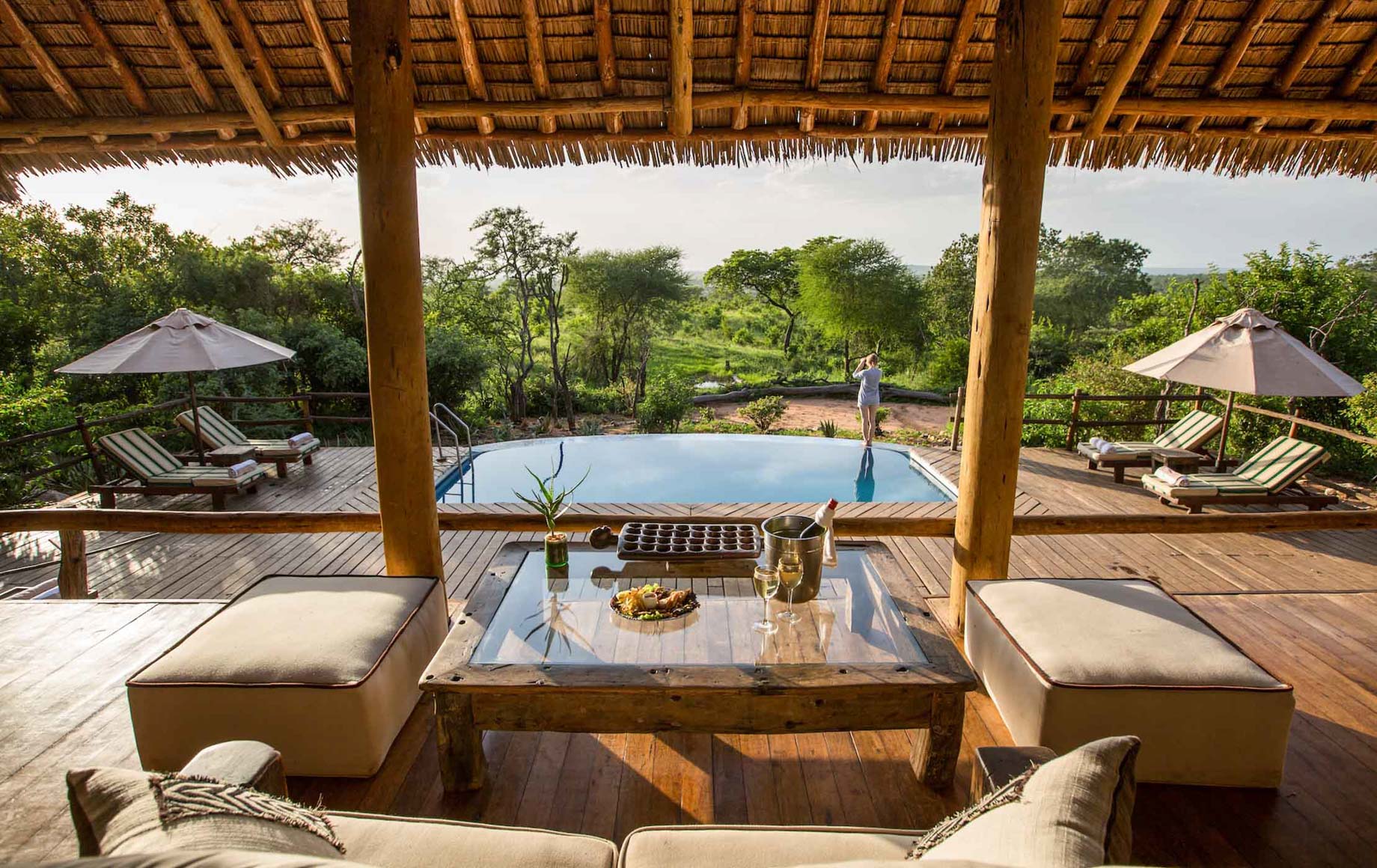 Tarangire Treetops Lodge