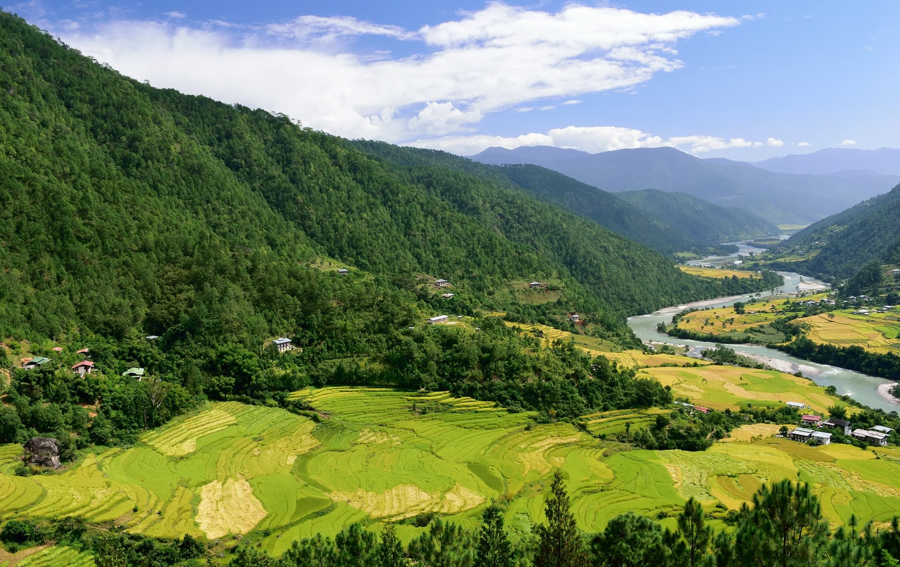 Bhutan Nature