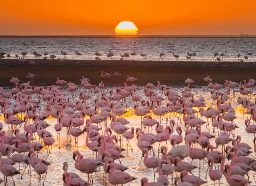 Swakopmund and Walvis Bay