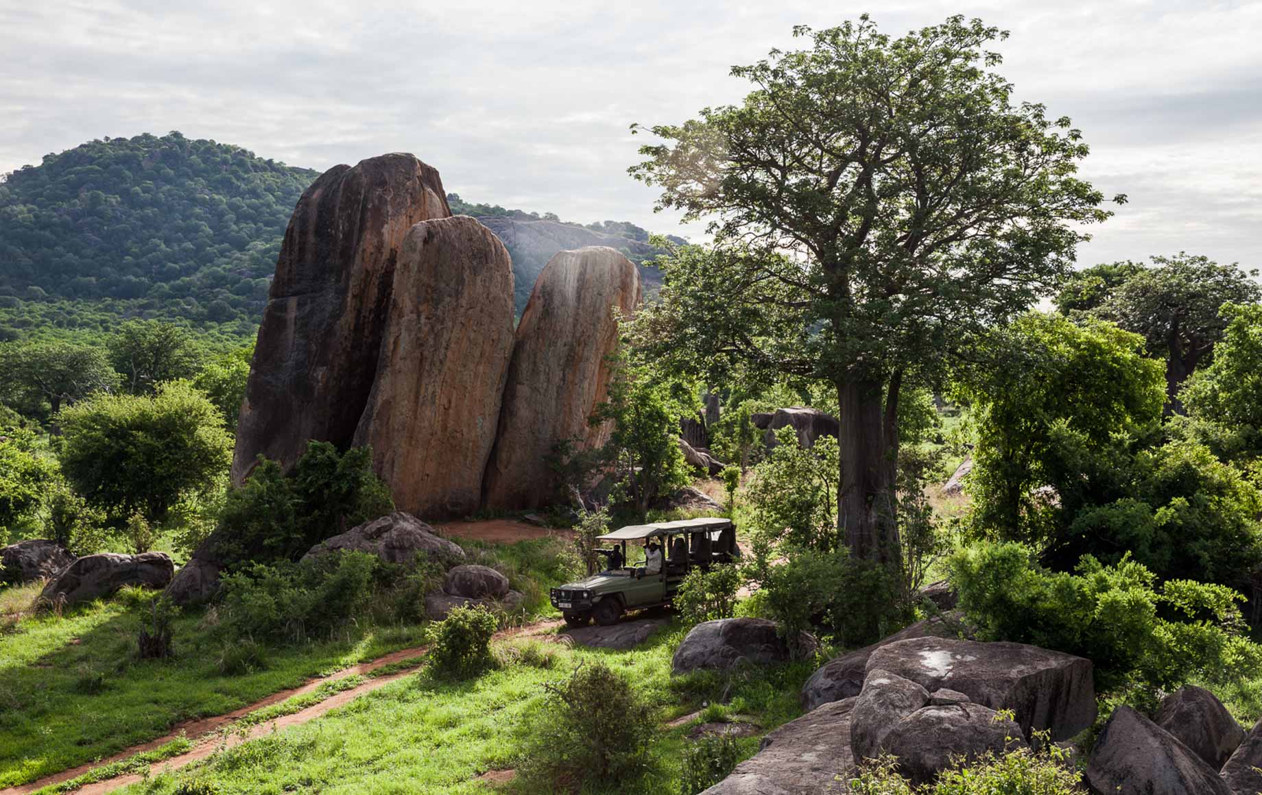 Selous and Ruha Safari Camps