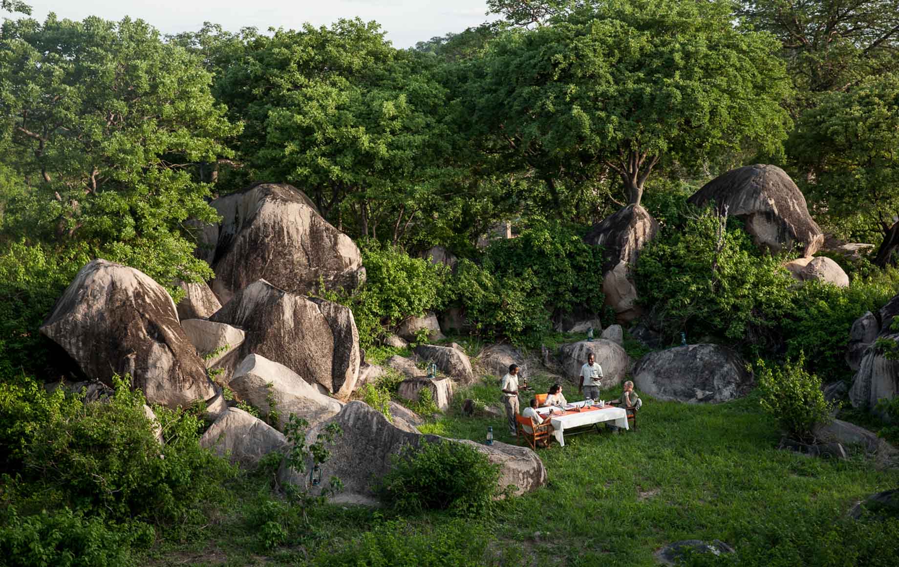 Selous and Ruha Safari Camps