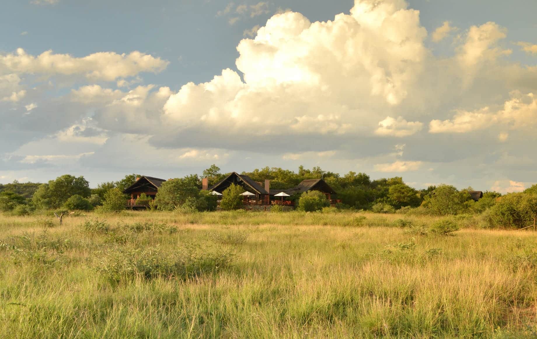 Madikwe Game Reserve