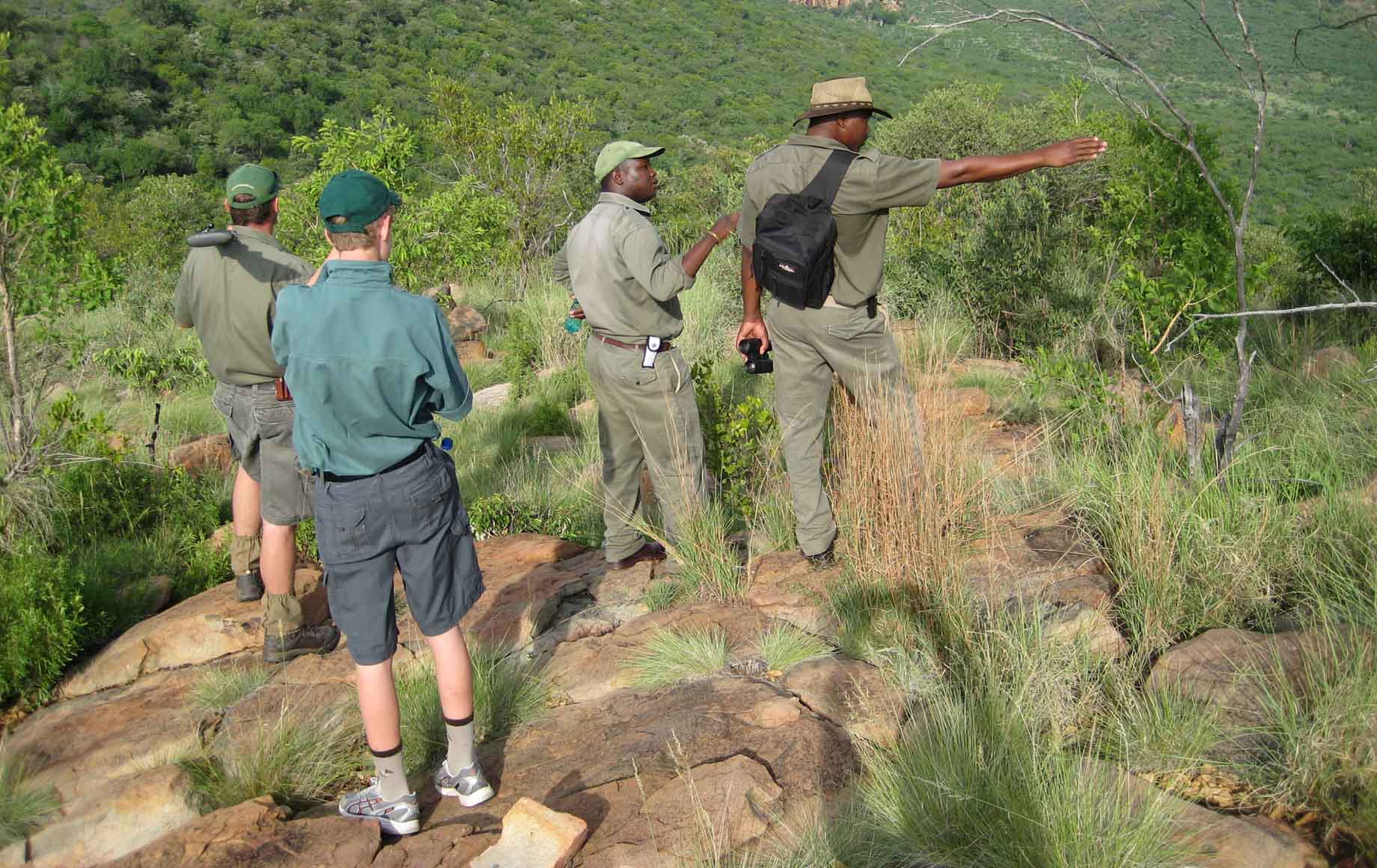 Madikwe Game Reserve