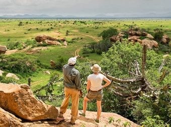 Safari Overlook
