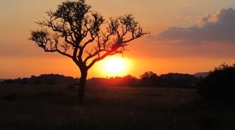 Serengeti safari, Tanzania