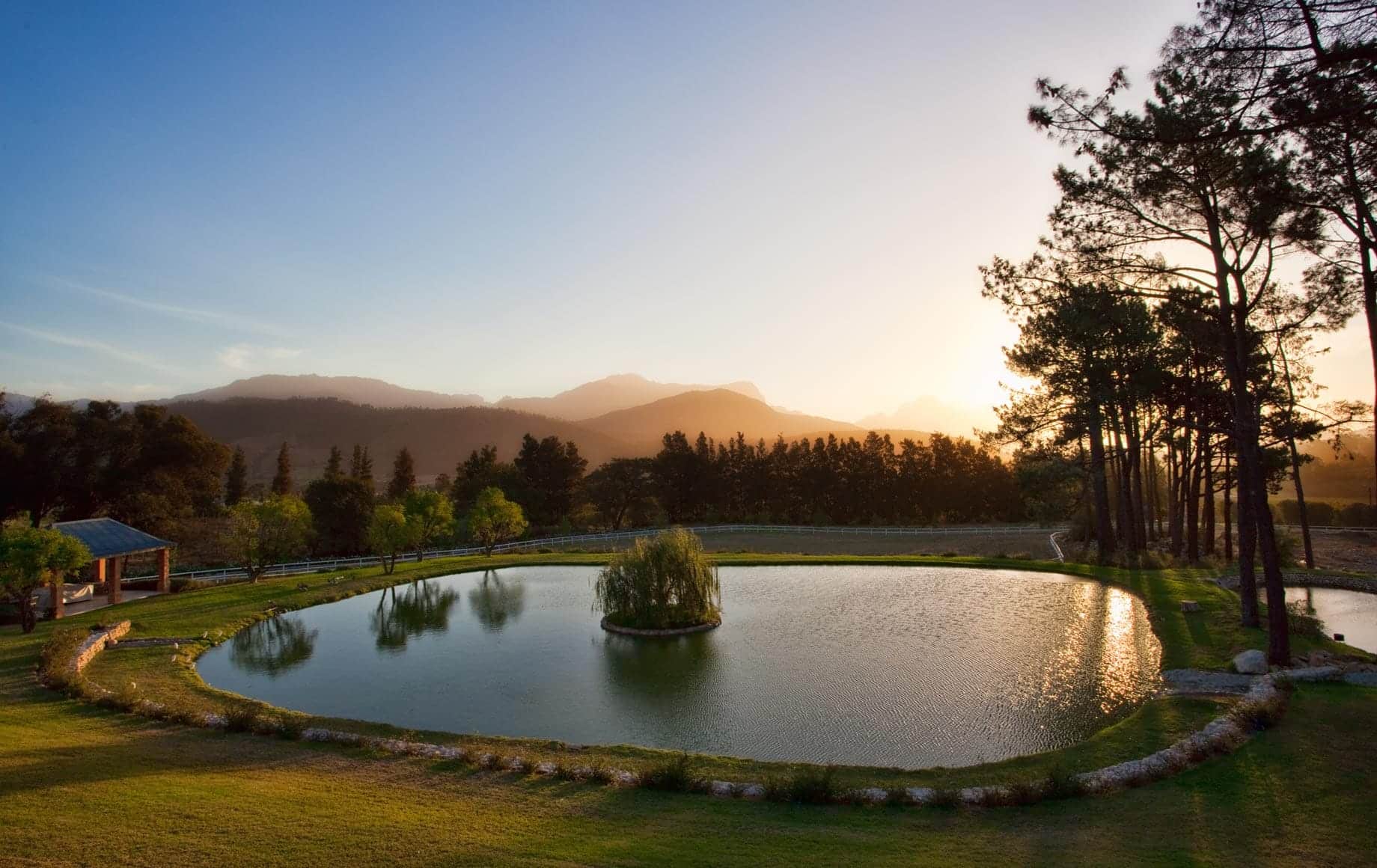 Peaceful pond and natural scenes in Cape Winelands