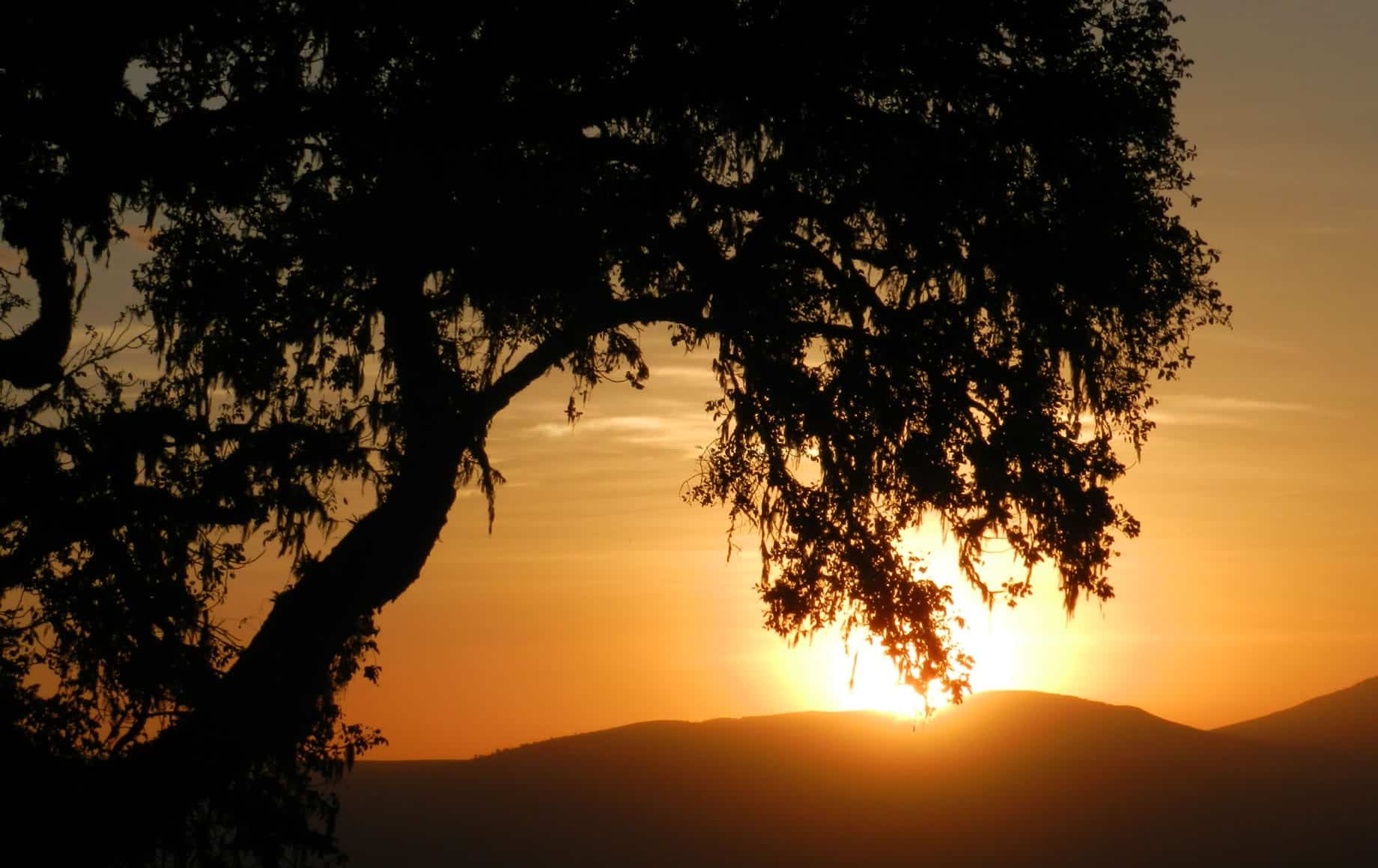 Sunset view Ngorongoro Conservation Area