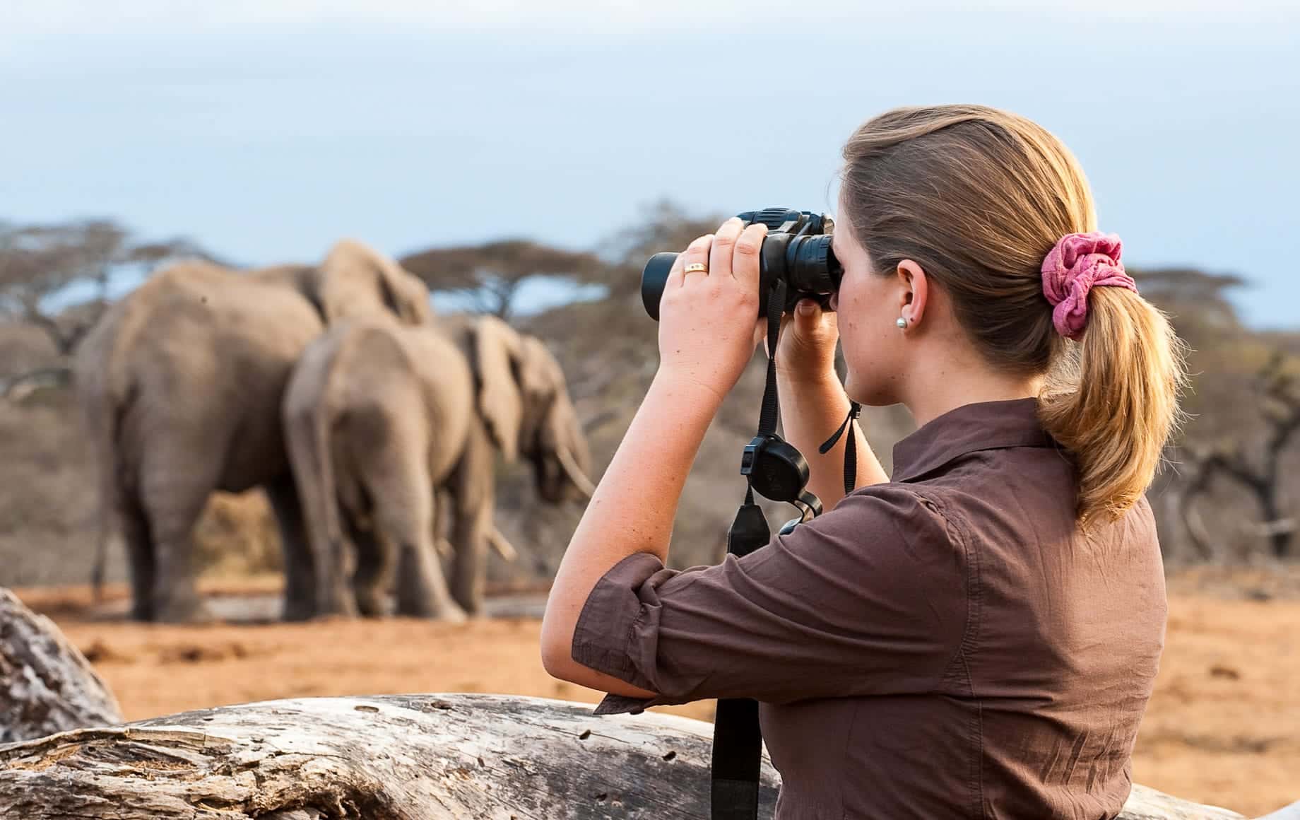 Wildlife with Binocular