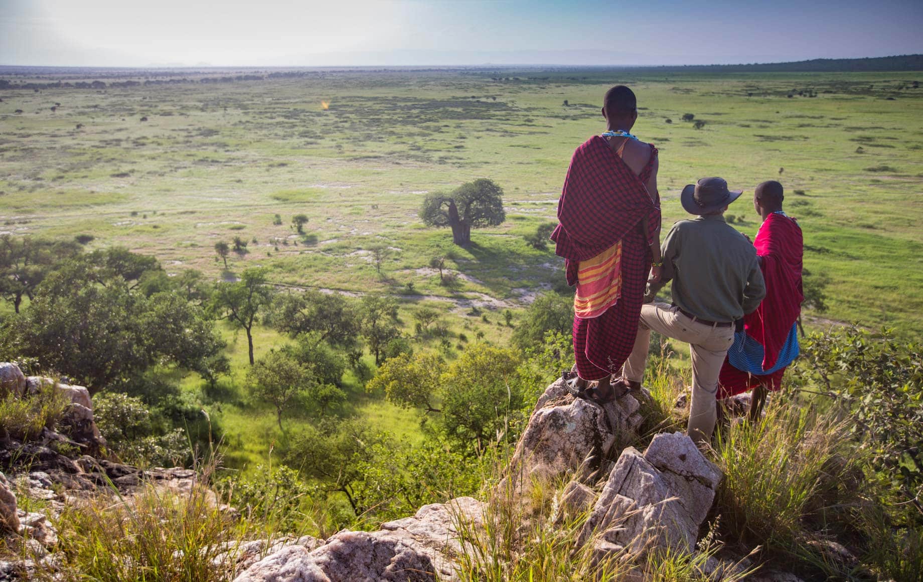 Tarangire Treetops Lodge