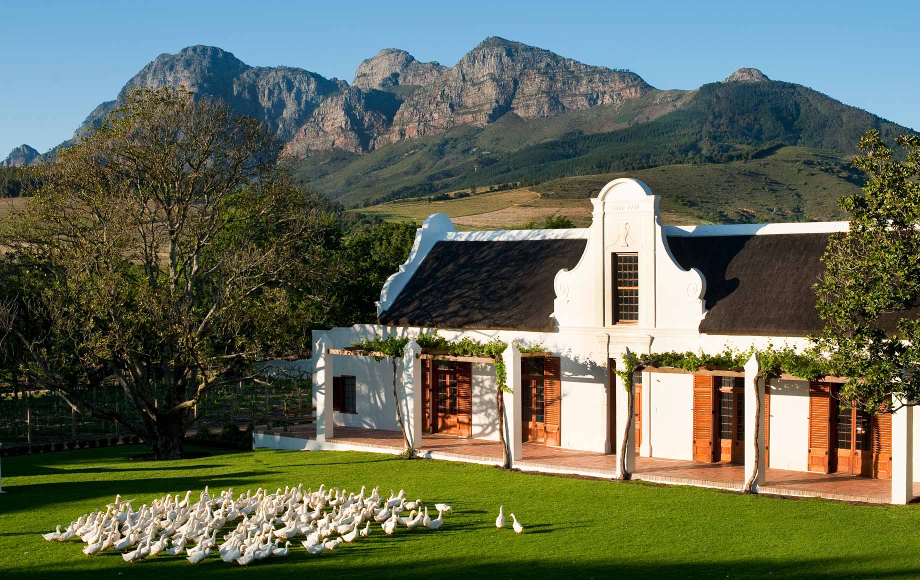 Babylonstoren