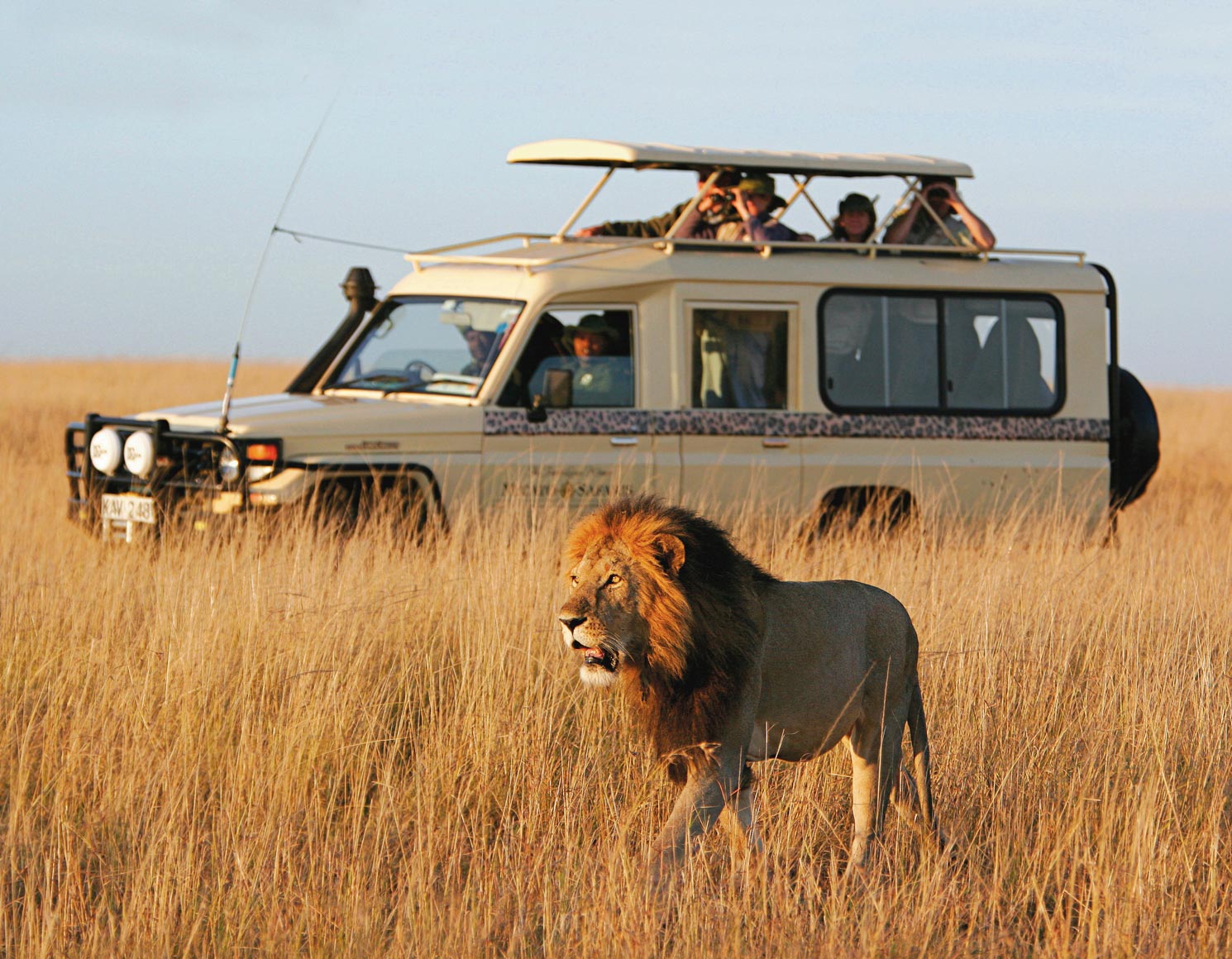 Private Classic Safari
