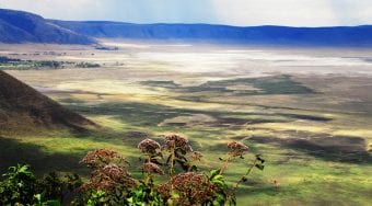 Which Africa Region Should I Visit?