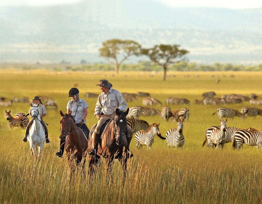 Three people horseback riding near zebra