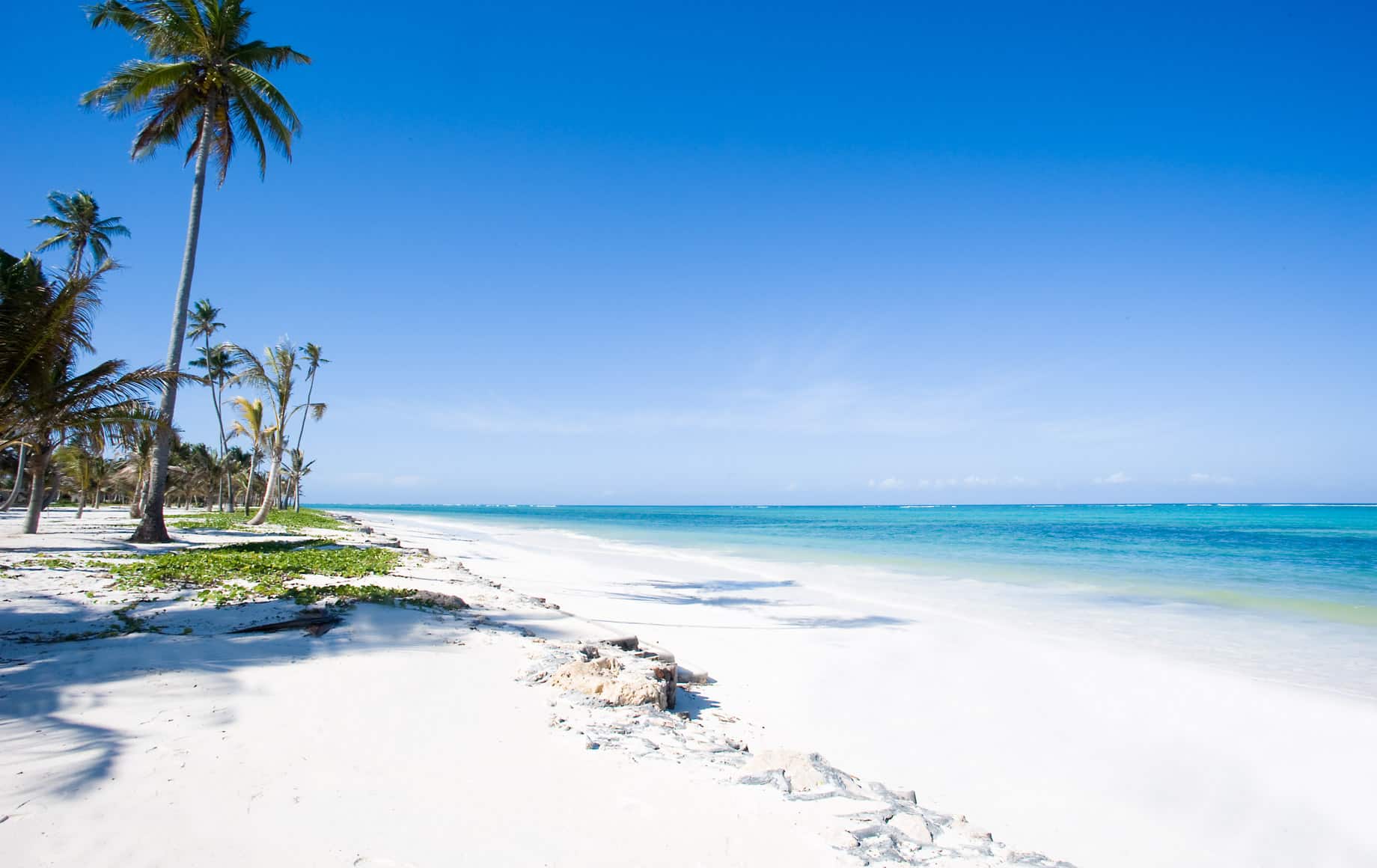 Zanzibar beach near Baraza Resort & Spa