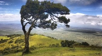Kenya's Ngong Hills