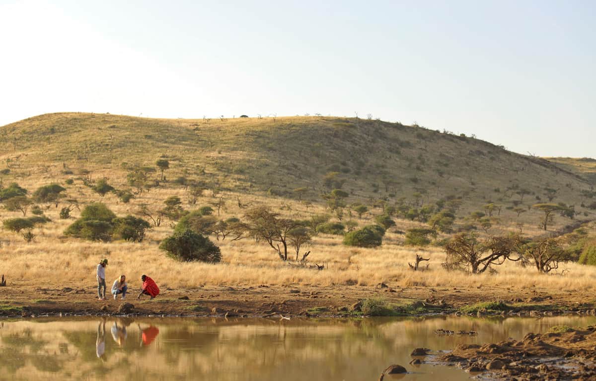 Guide Traveler Water Hole