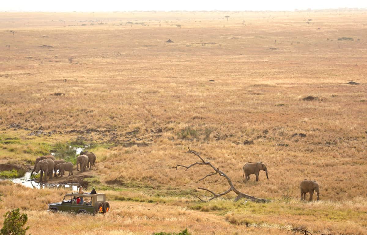 Elephants Jeep