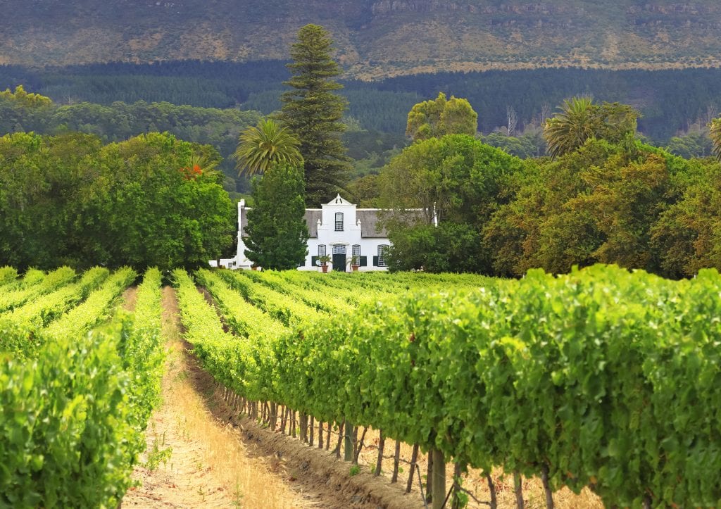 a white house situated on a vineyard