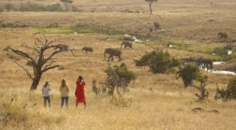 Bush Walk Kifaru House