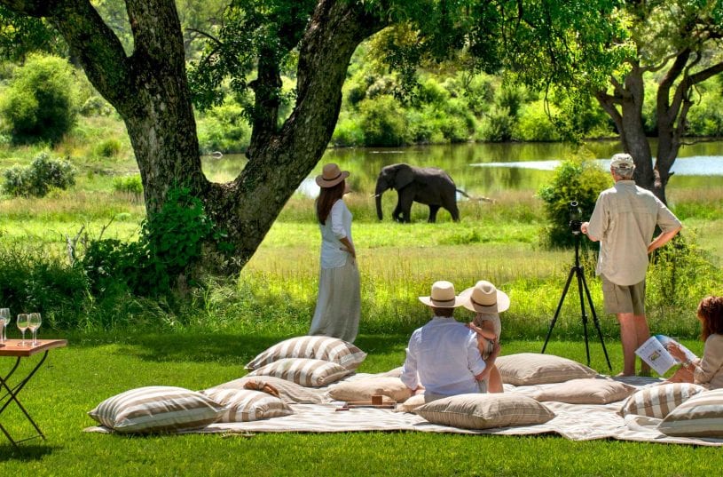 a group of people sitting on a blanket by the water watching an elephant